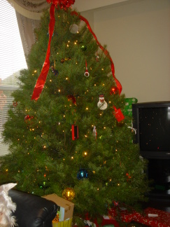 2006-12-25-11-ChristmasMorning.JPG